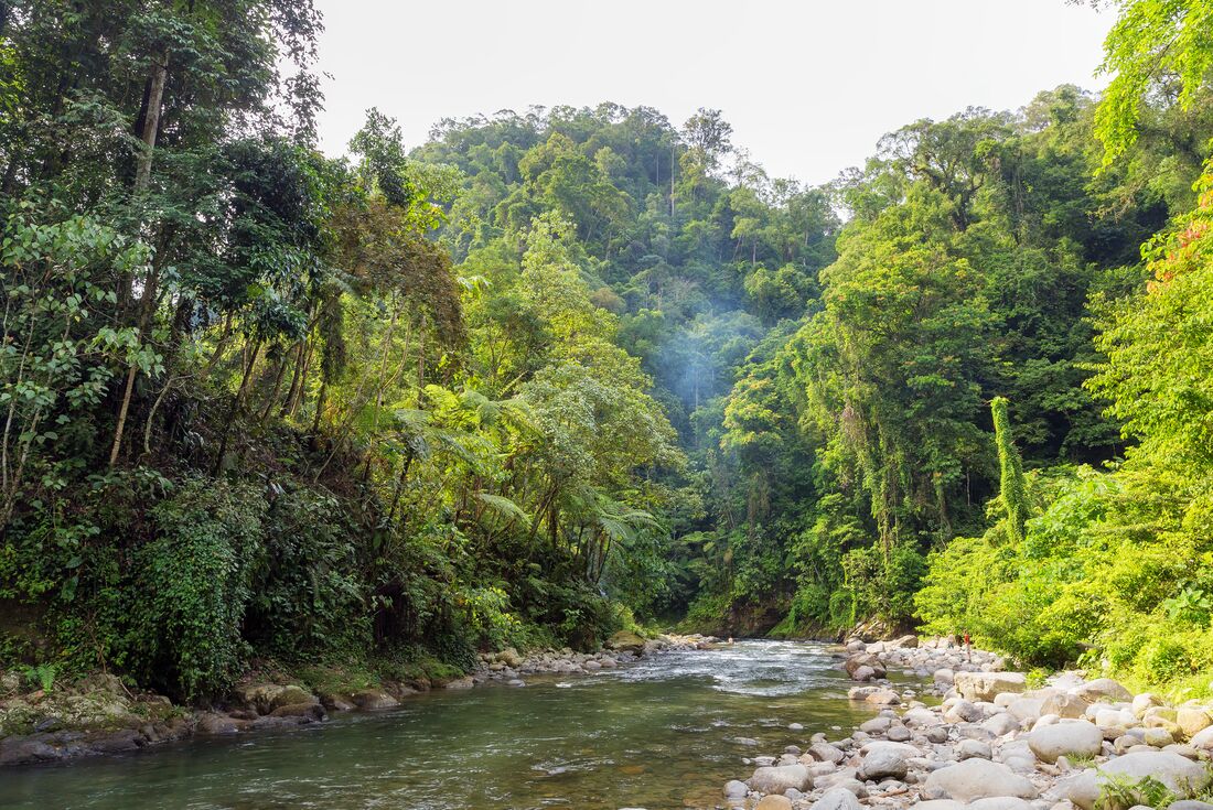 tourhub | Intrepid Travel | Sumatra Adventure 