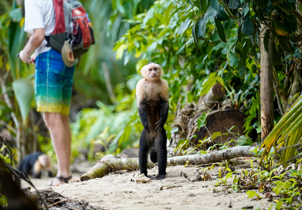 tourhub | Intrepid Travel | One Week In Costa Rica  