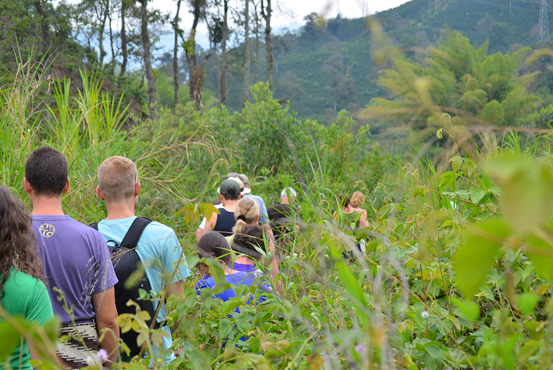 tourhub | Intrepid Travel | Cafe Colombia 