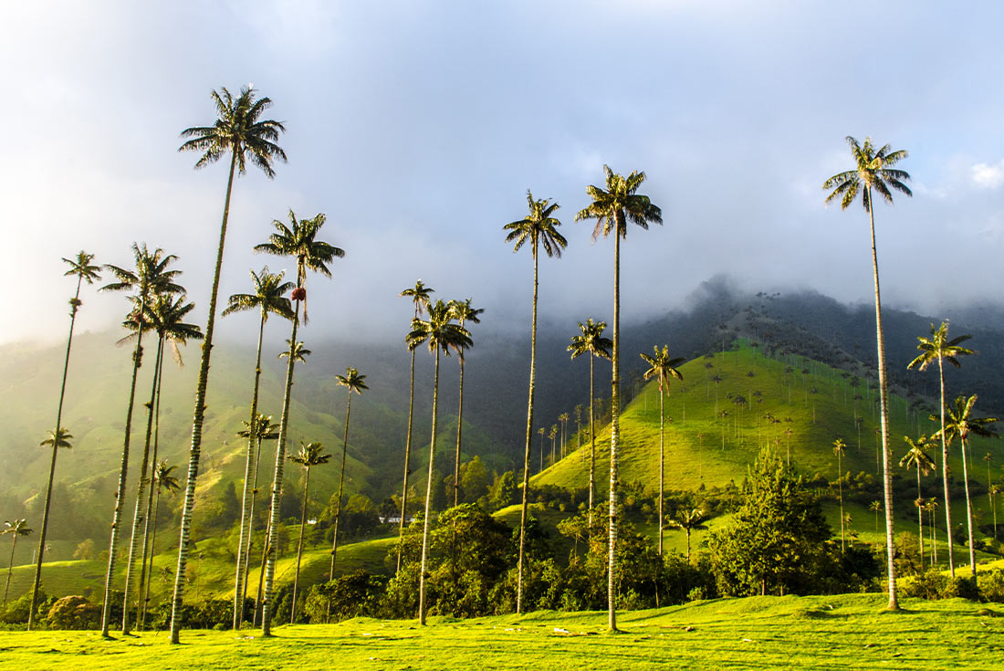 tourhub | Intrepid Travel | Cafe Colombia 