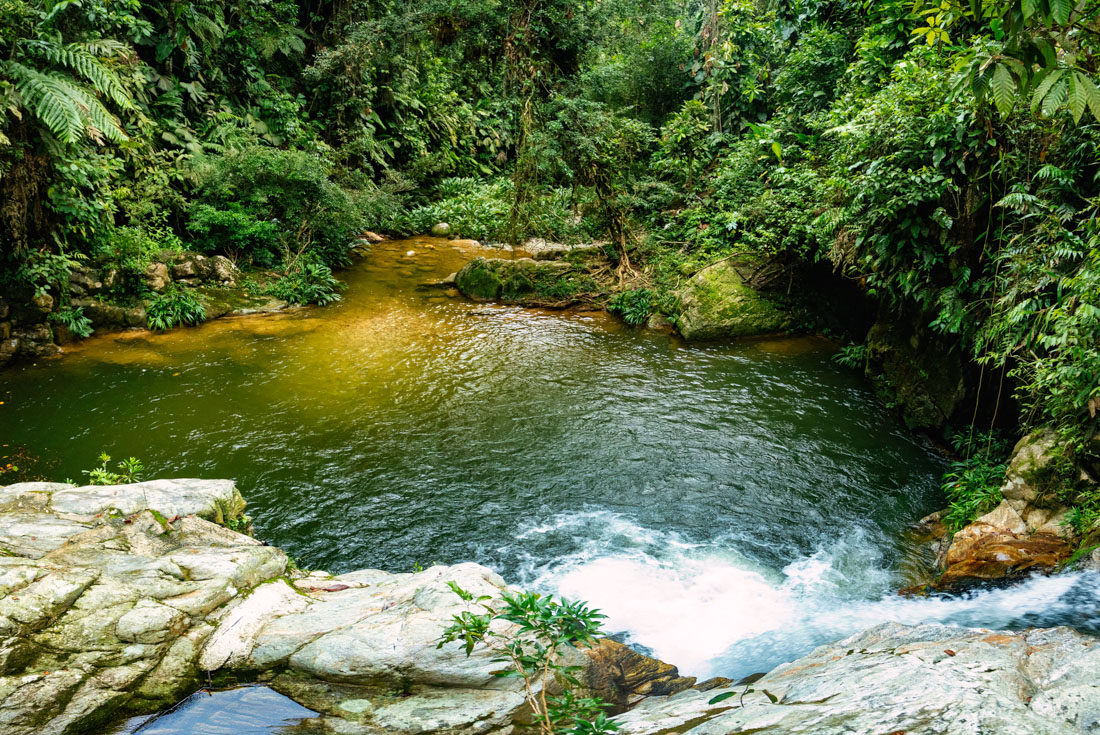 Lost City Trekking in Colombia