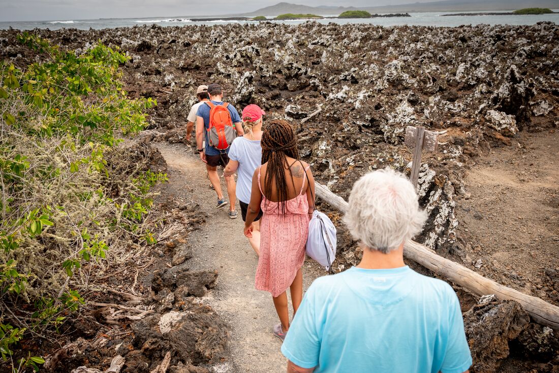 Galapagos Discovery