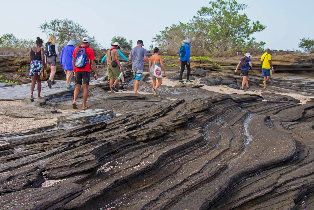 tourhub | Intrepid Travel | Best of Galapagos  