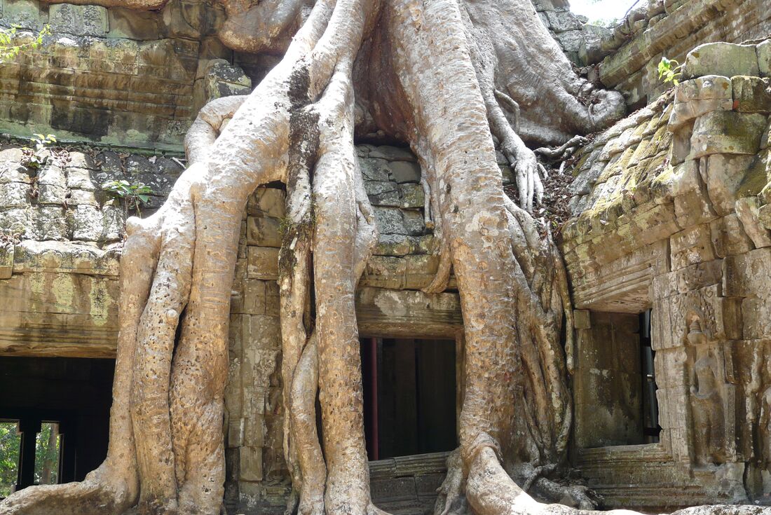 Cambodian Traveller