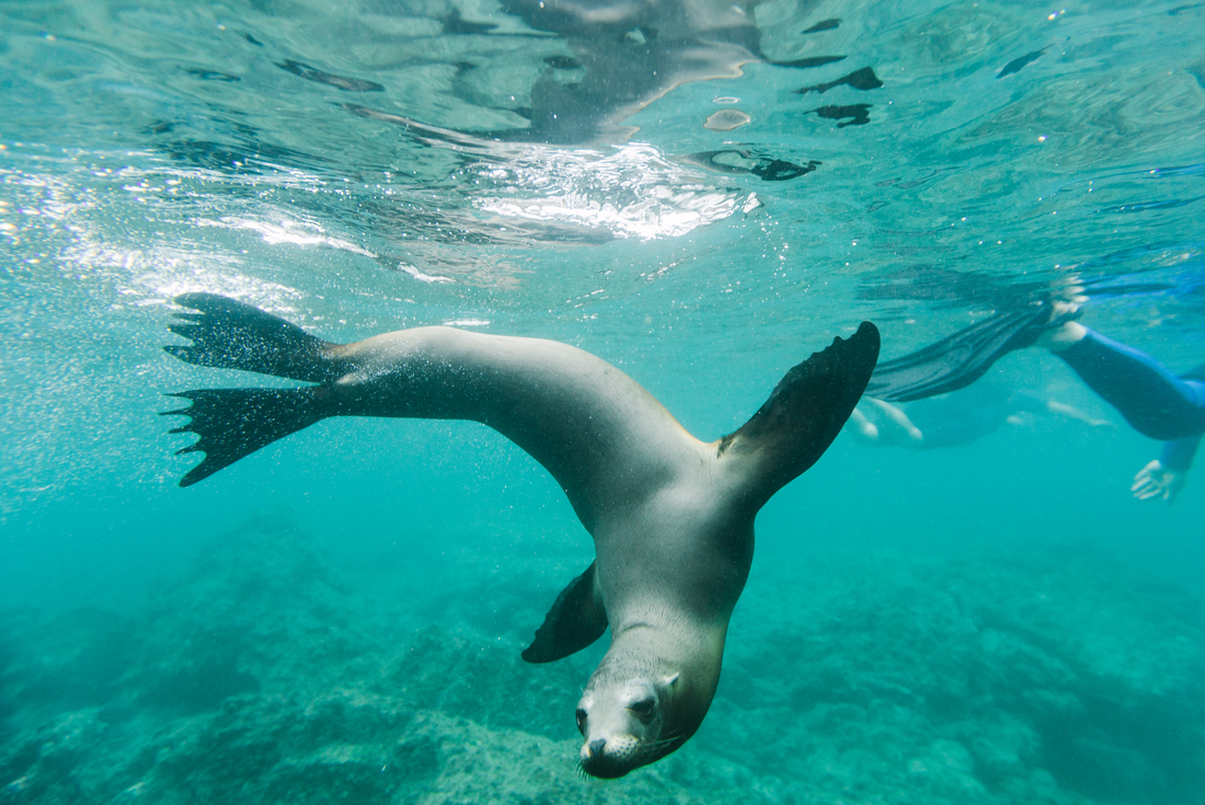 Galapagos Family Holiday