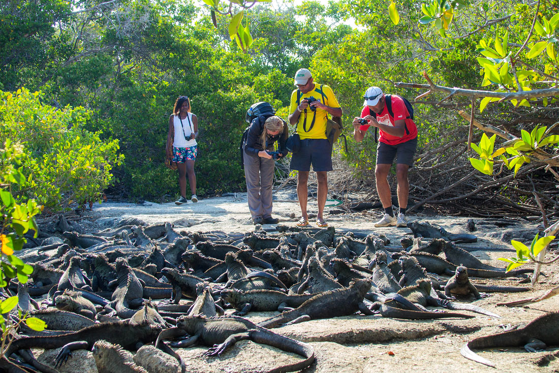 tourhub | Intrepid Travel | Galapagos & Inca Trail Adventure 