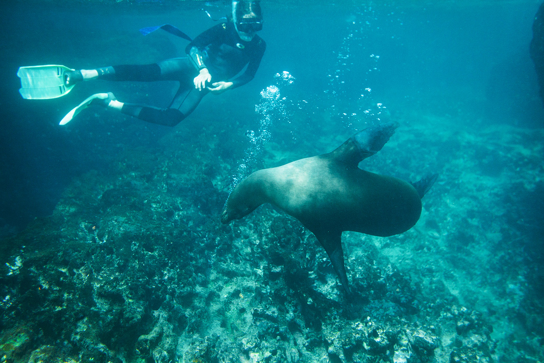 Ecuador Highlands & Galapagos