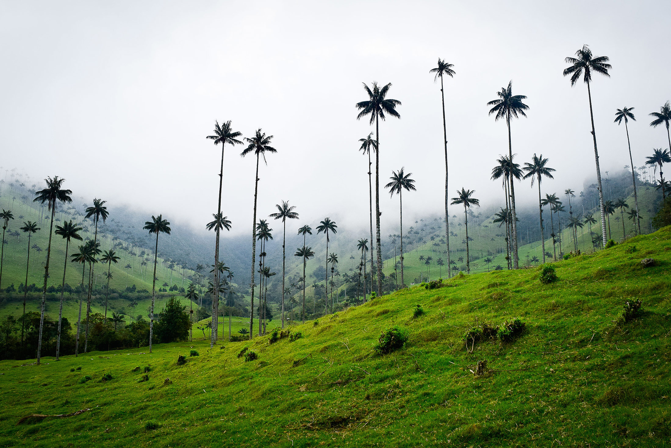 tourhub | Intrepid Travel | Real Colombia 