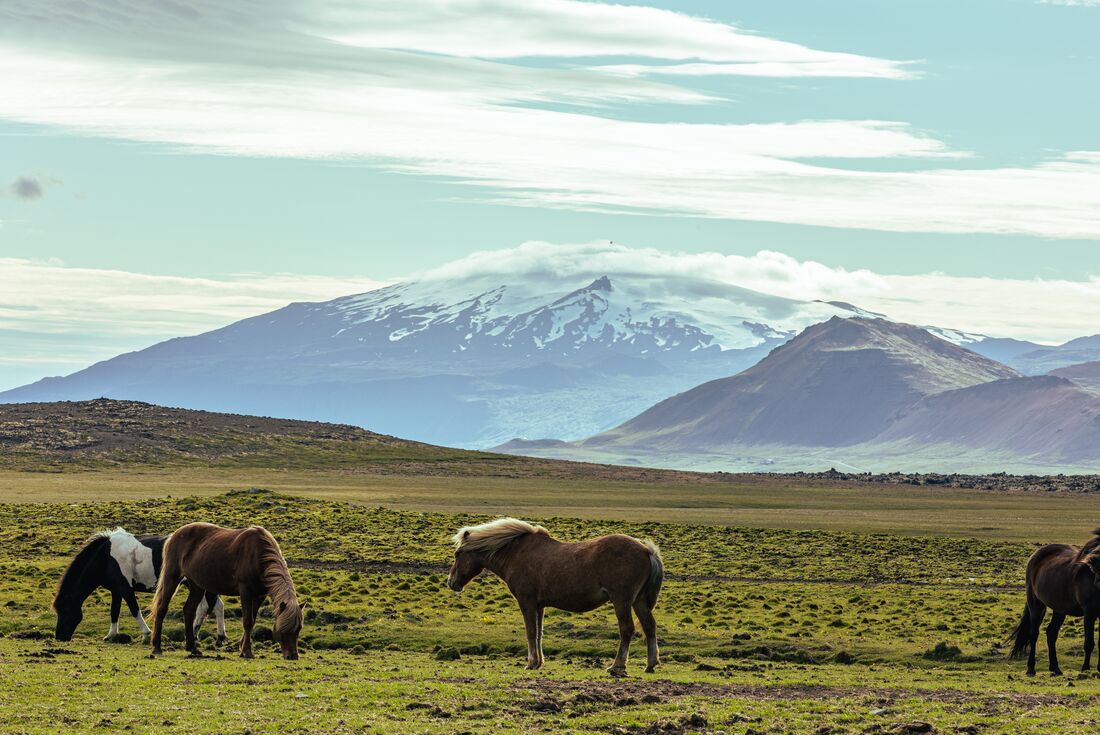 Iceland Family Holiday