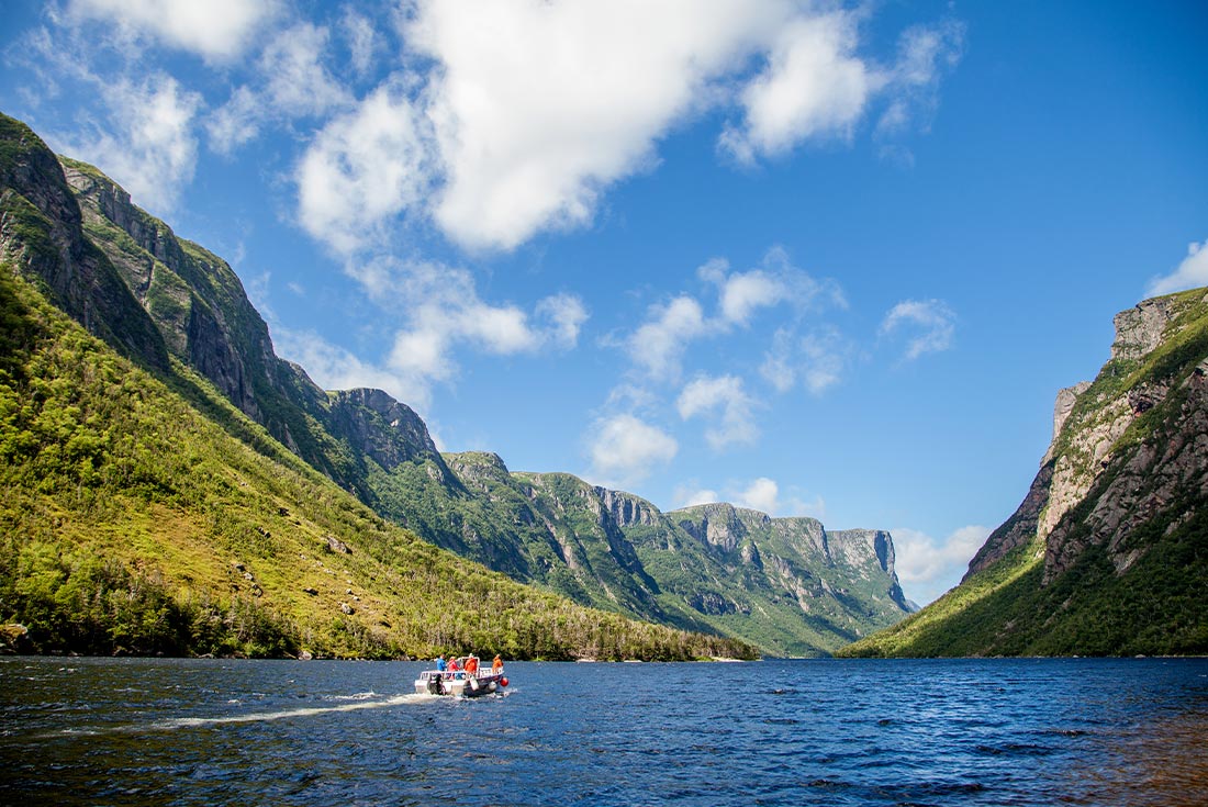 tourhub | Intrepid Travel | Newfoundland Adventure: Westbound 