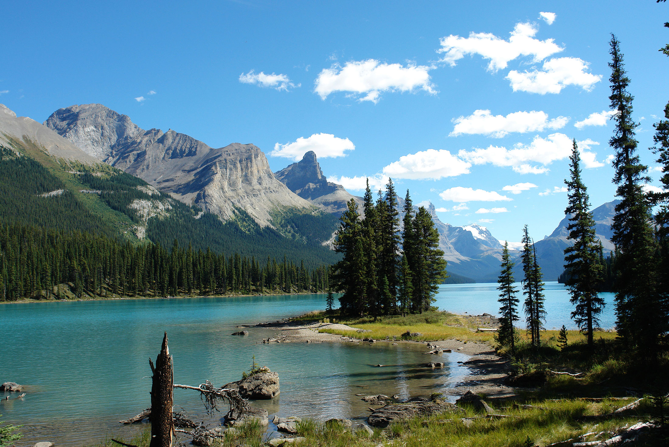 tourhub | Intrepid Travel | Real Canadian Rockies 