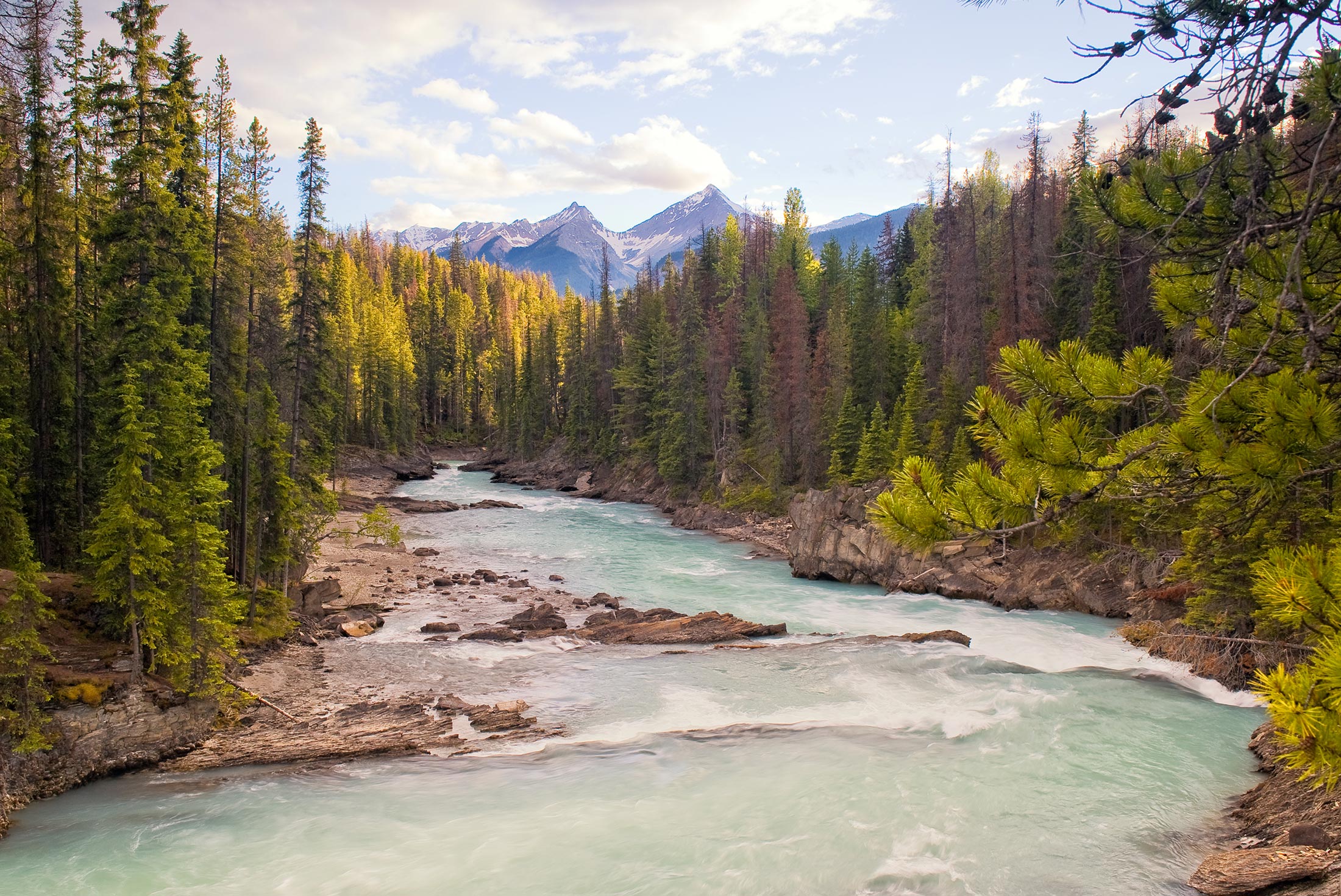 tourhub | Intrepid Travel | Real Canadian Rockies 