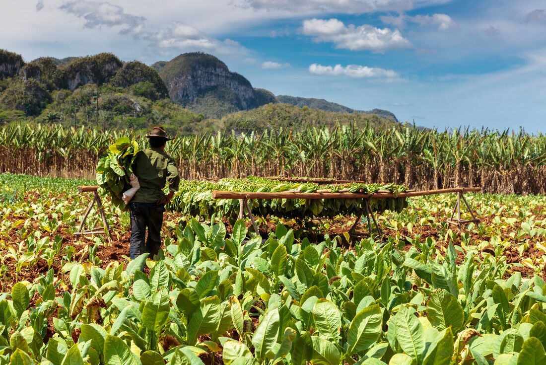 tourhub | Intrepid Travel | Hola Cuba 