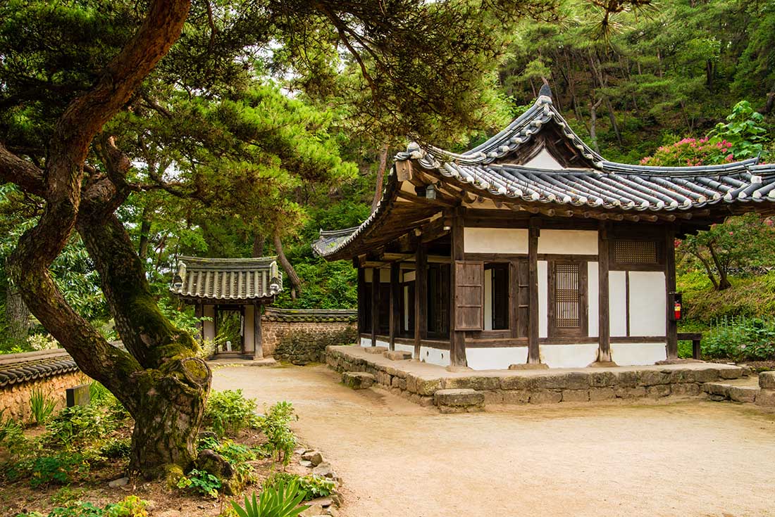 tourhub | Intrepid Travel | South Korea Highlights 