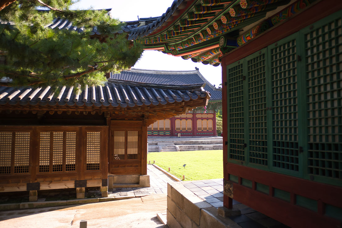 tourhub | Intrepid Travel | Essential South Korea 