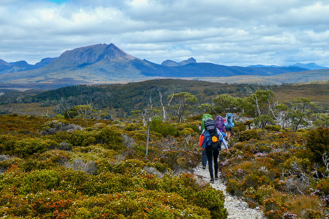 tourhub | Intrepid Travel | Trek the Cradle Mountain Overland Track  