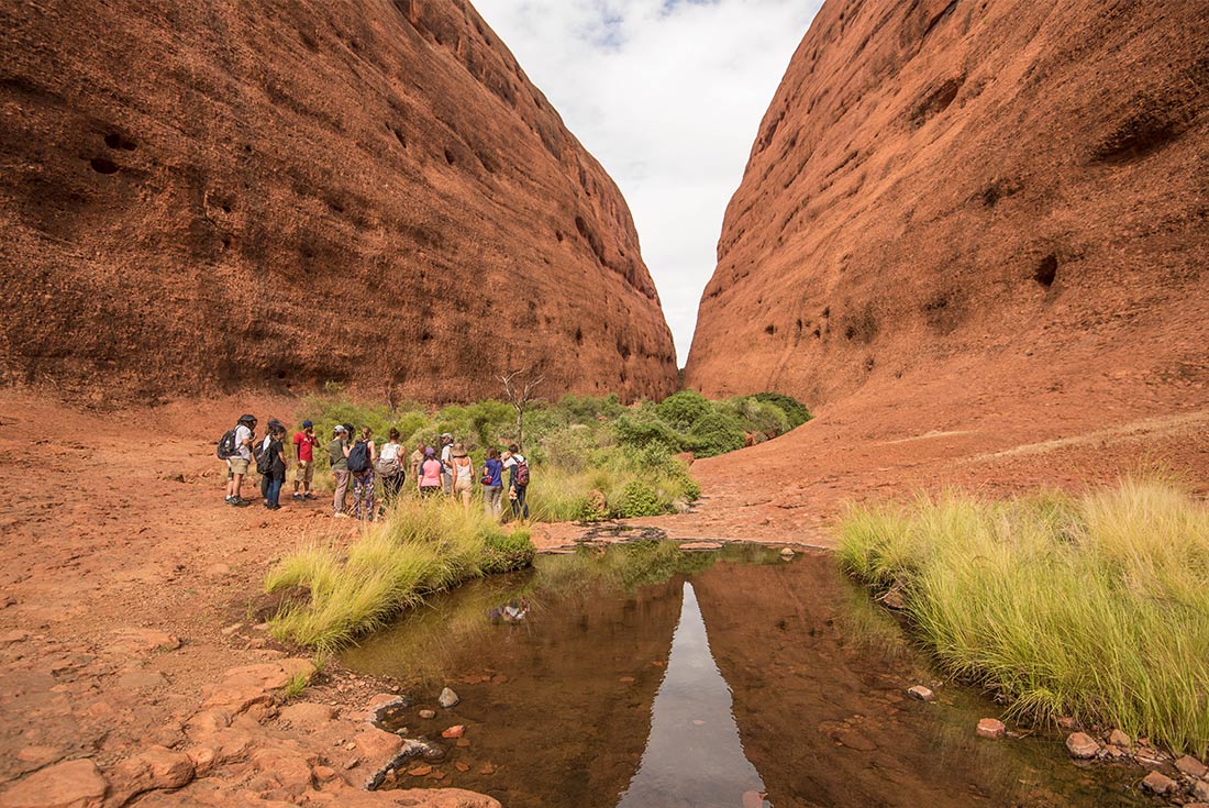 tourhub | Intrepid Travel | Uluru & Kings Canyon Family Adventure 