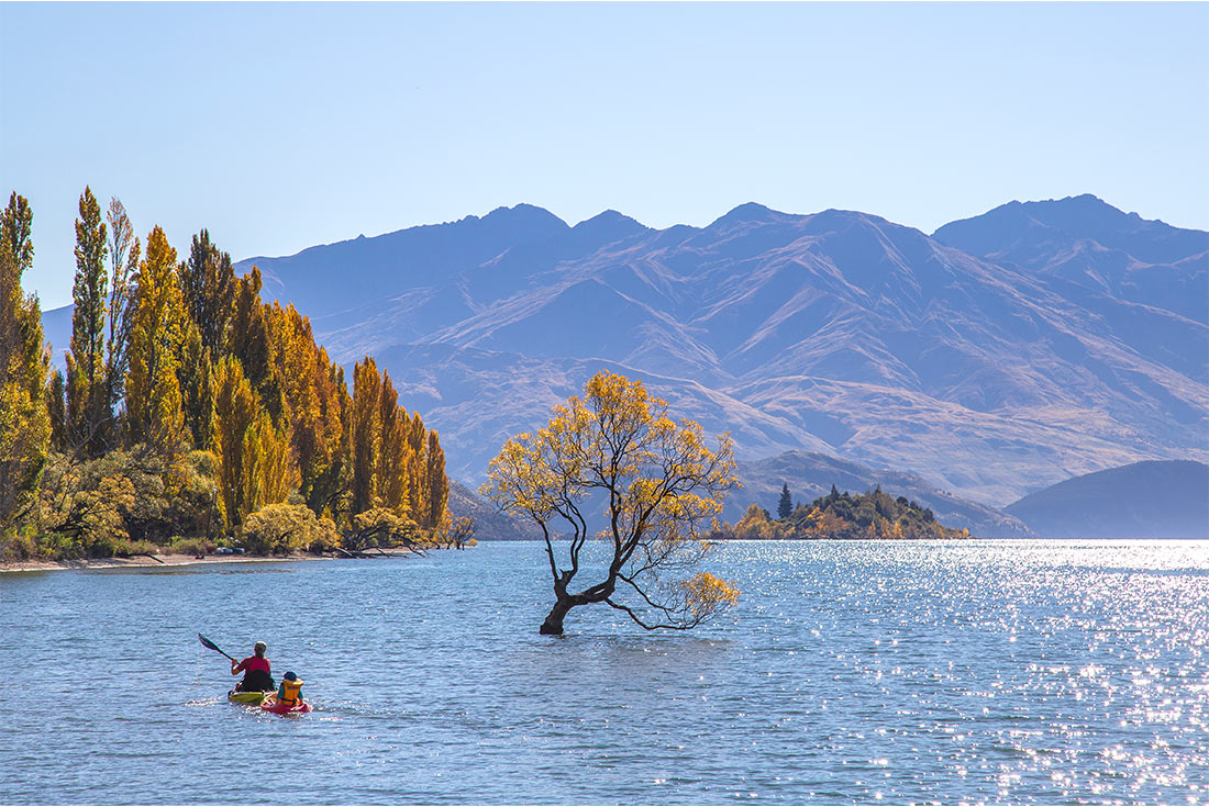 tourhub | Intrepid Travel | New Zealand West Coast Adventure 