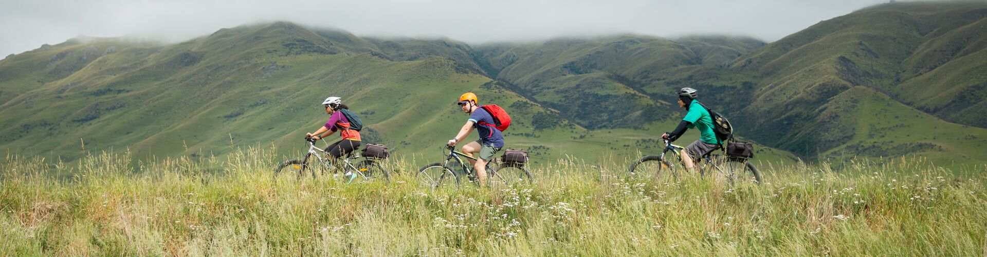 tourhub | Intrepid Travel | Cycle New Zealand: Otago Rail Trail 