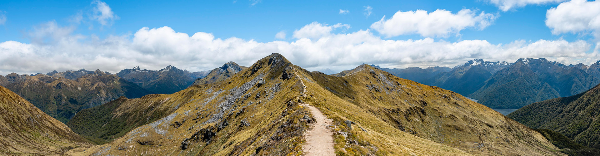 tourhub | Intrepid Travel | Walk New Zealand's Fiordland National Park 