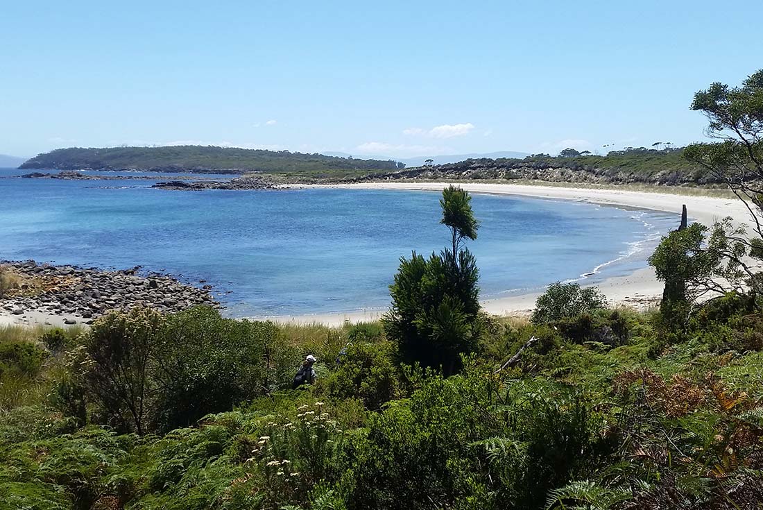 tourhub | Intrepid Travel | Walk Bruny Island & Tasmania's South West 