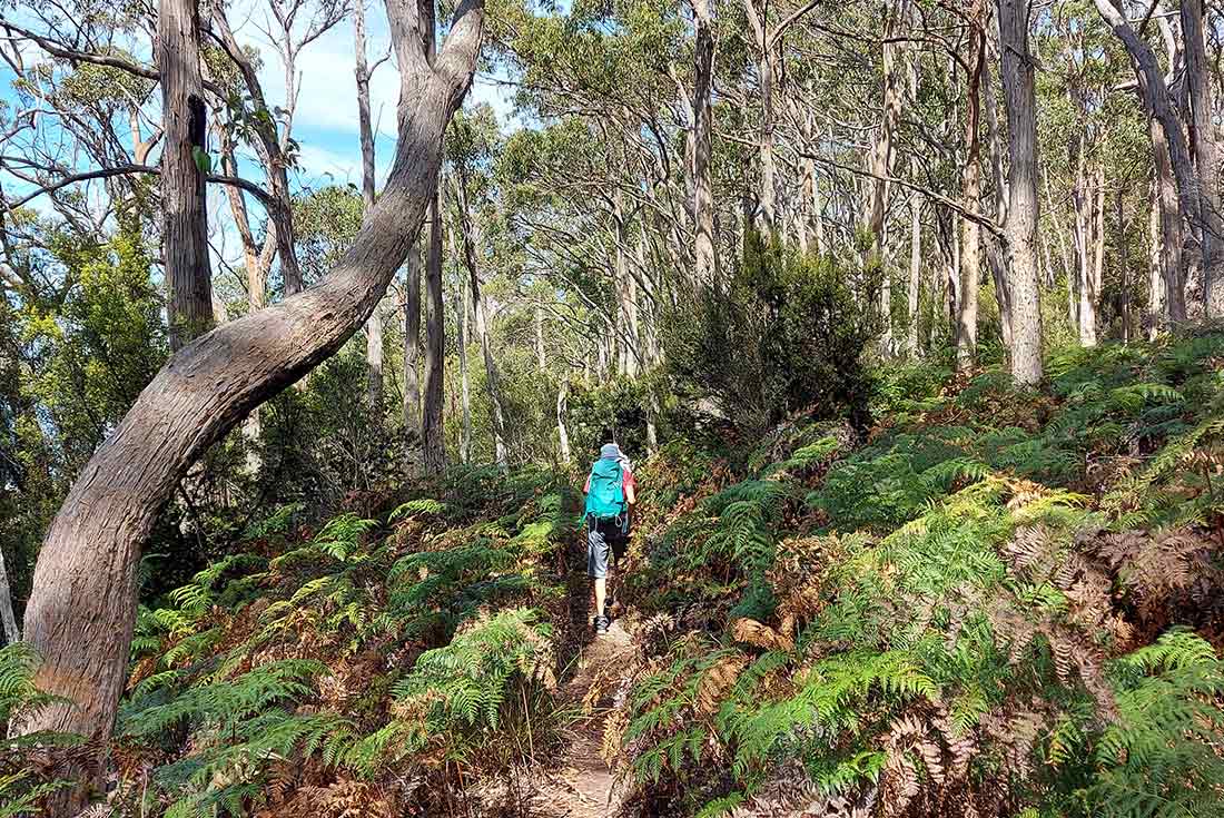 tourhub | Intrepid Travel | Walk Bruny Island & Tasmania's South West 