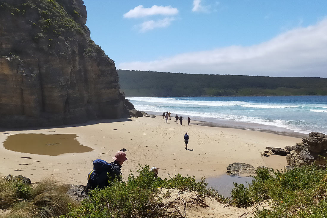 tourhub | Intrepid Travel | Walk Bruny Island & Tasmania's South West 