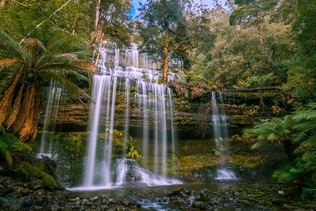 tourhub | Intrepid Travel | Walk Bruny Island & Tasmania's South West 