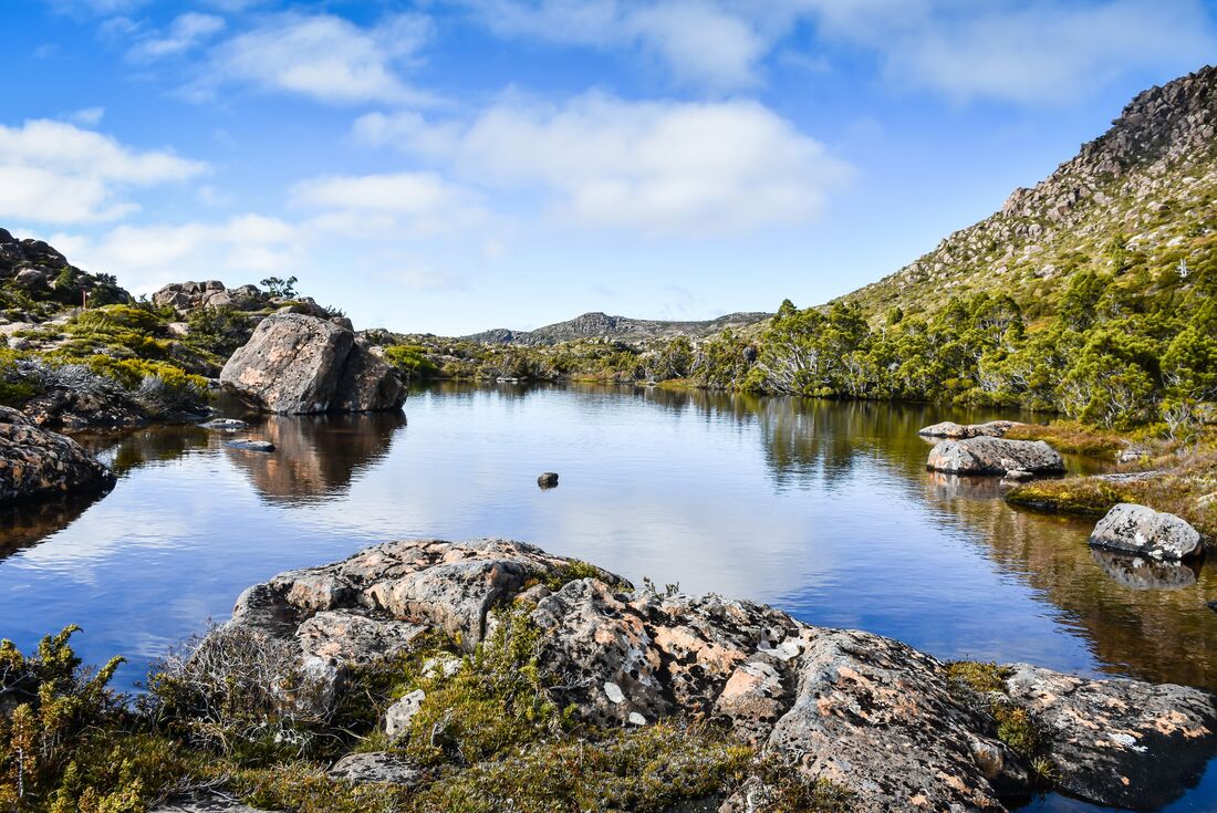 tourhub | Intrepid Travel | Walk Bruny Island & Tasmania's South West 