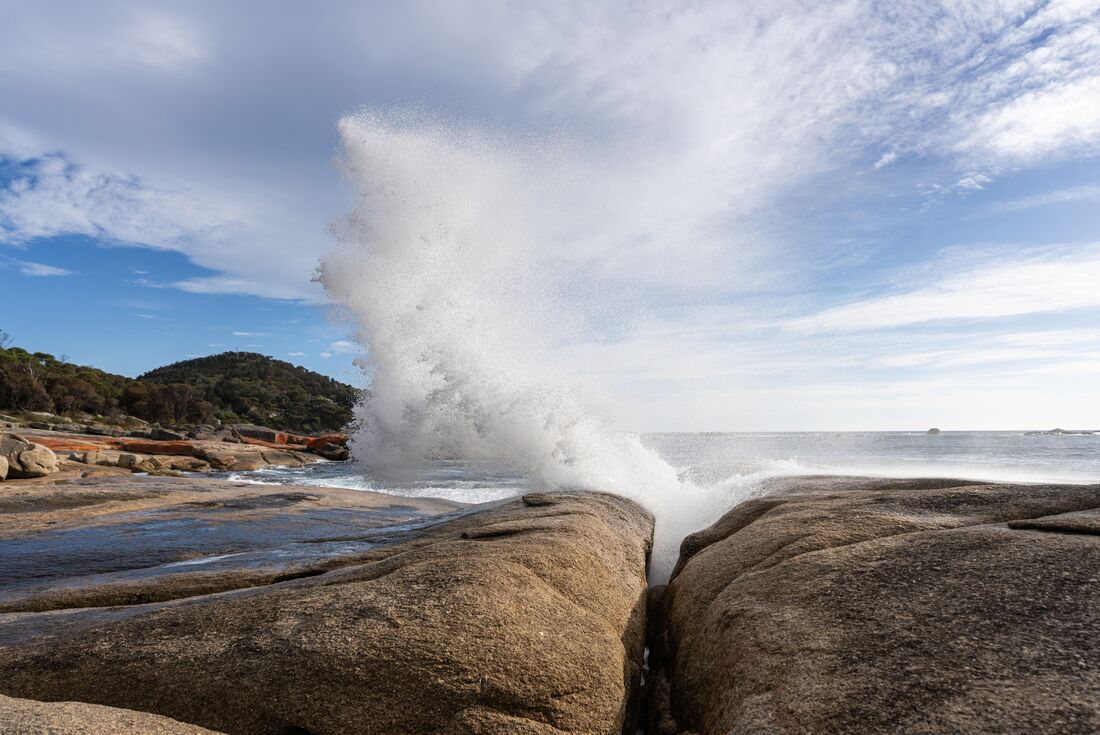 tourhub | Intrepid Travel | Tasmania Adventure 