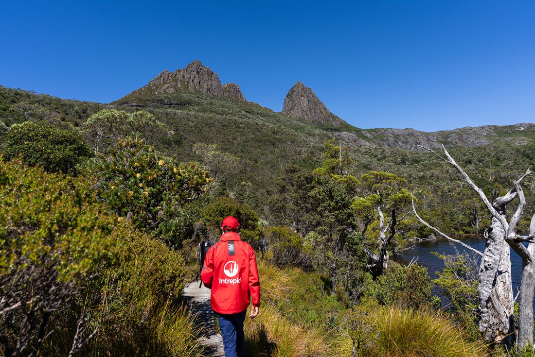 tourhub | Intrepid Travel | Tasmania Adventure 