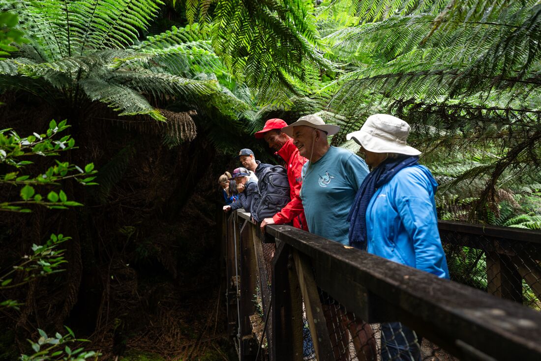 tourhub | Intrepid Travel | Tasmania Adventure 