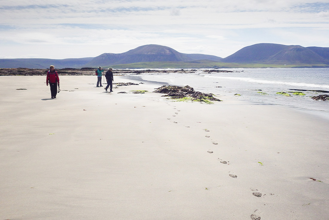 tourhub | Intrepid Travel | Scotland's Orkney Islands 