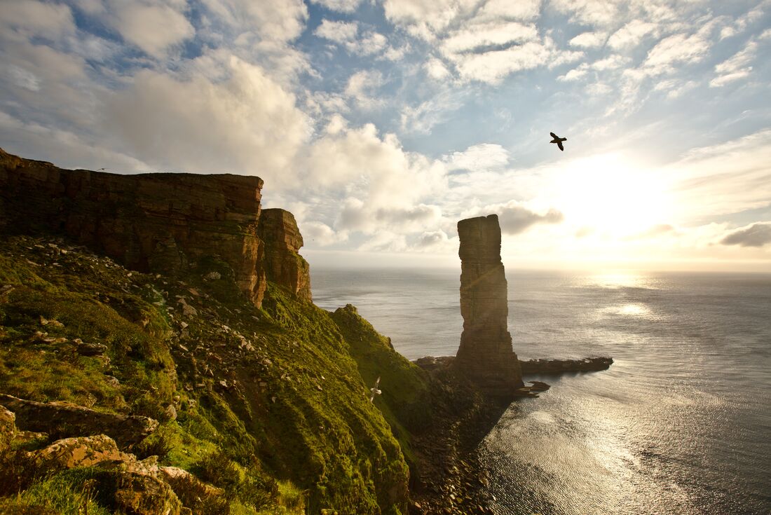 tourhub | Intrepid Travel | Scotland's Orkney Islands 