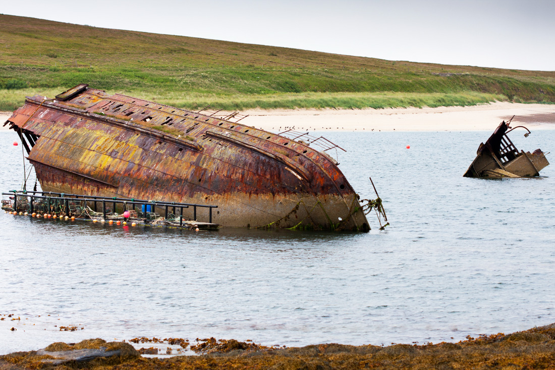 tourhub | Intrepid Travel | Scotland's Orkney Islands 