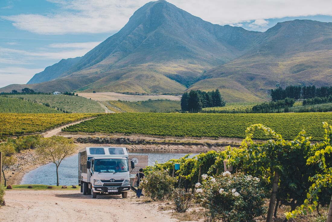 tourhub | Intrepid Travel | Premium Cape Town and the Garden Route 