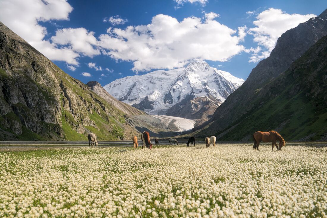 tourhub | Intrepid Travel | Premium Kazakhstan and Kyrgyzstan 