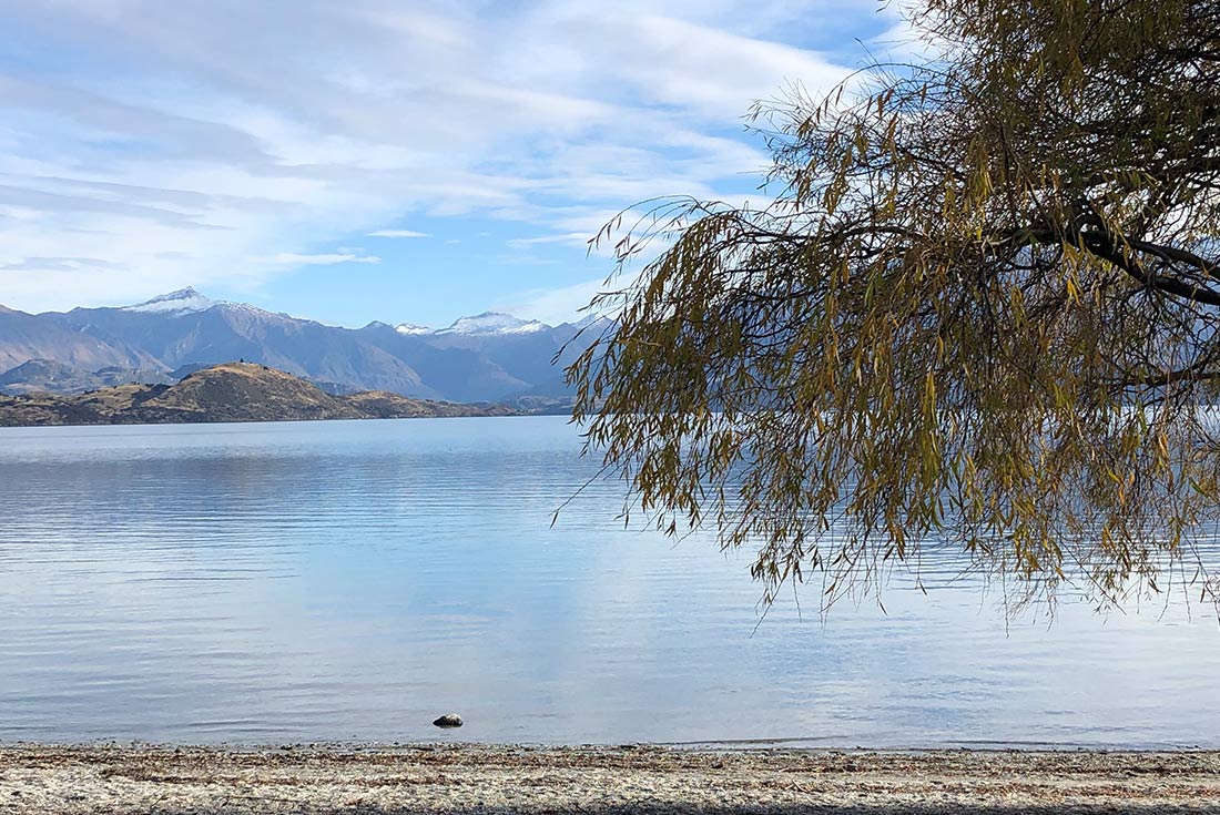 tourhub | Intrepid Travel | New Zealand South Island Express 