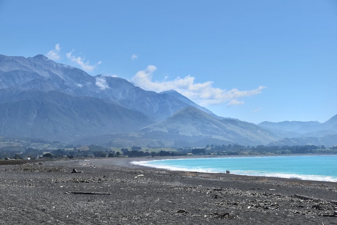 tourhub | Intrepid Travel | New Zealand's North to South Island Adventure  