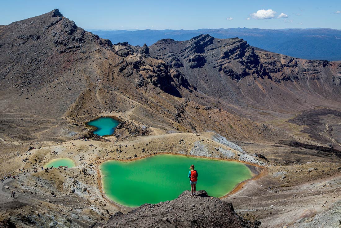 tourhub | Intrepid Travel | New Zealand Uncovered (Northbound)  