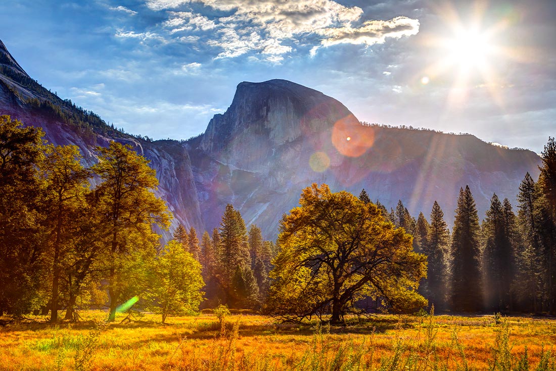 tourhub | Intrepid Travel | Hiking in Yosemite National Park 