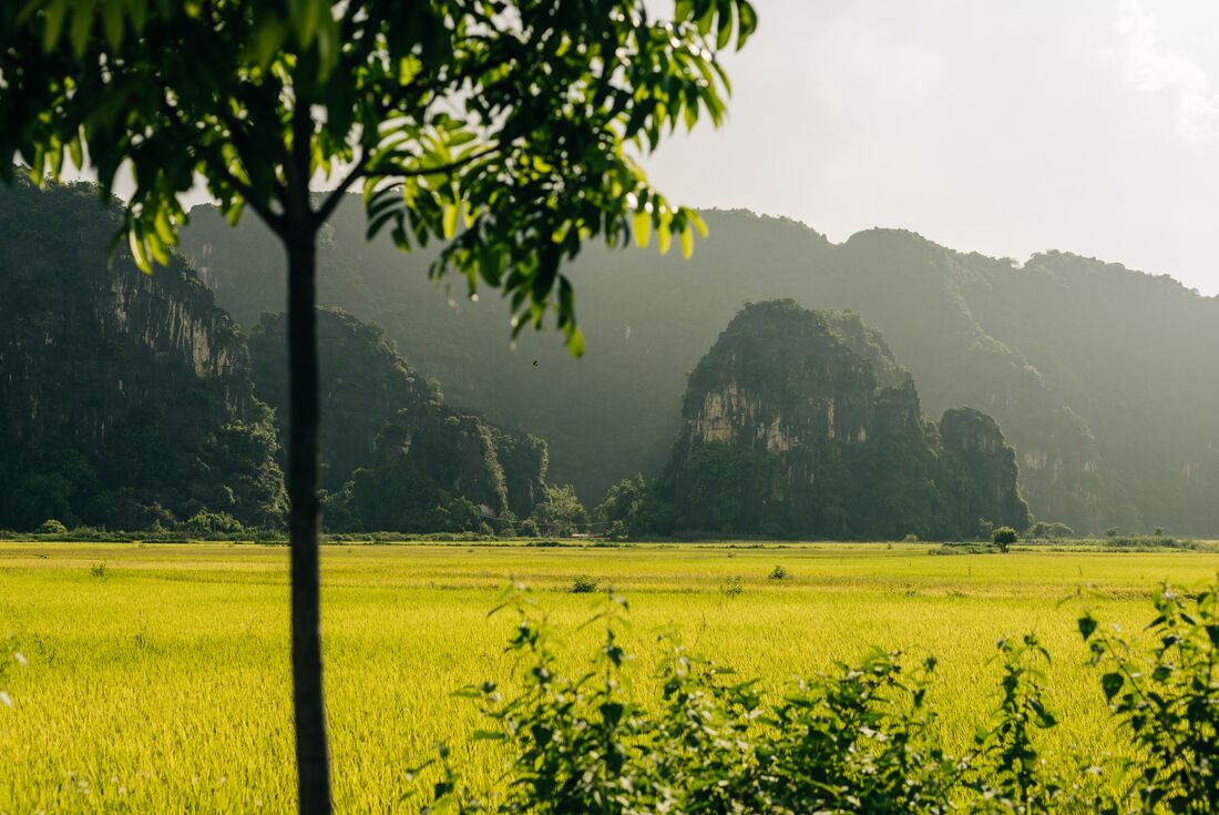 tourhub | Intrepid Travel | Ninh Binh Mini Adventure		 