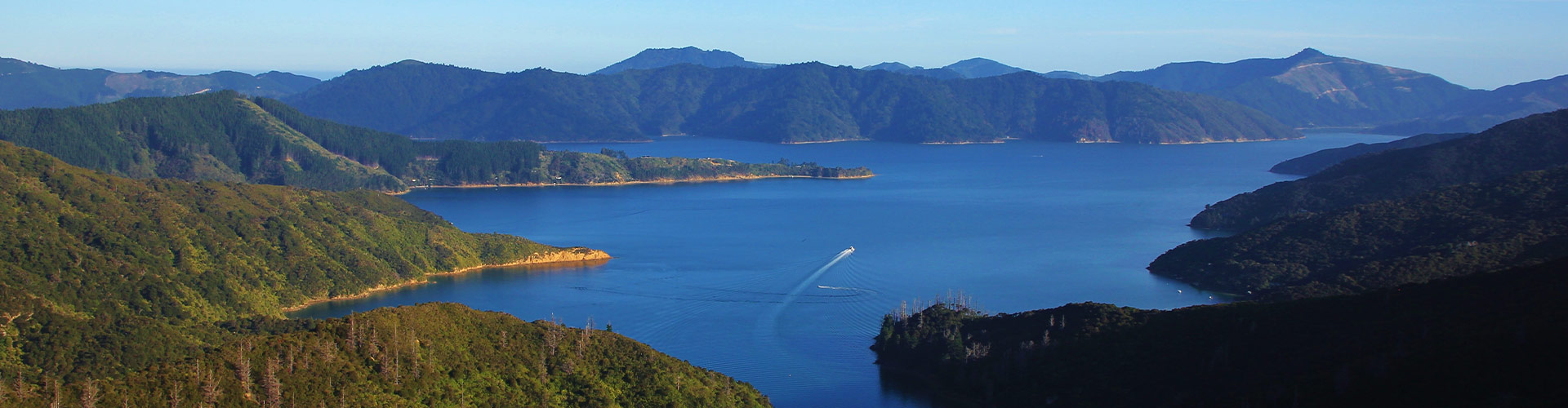 tourhub | Intrepid Travel | Walk New Zealand's Queen Charlotte Track 