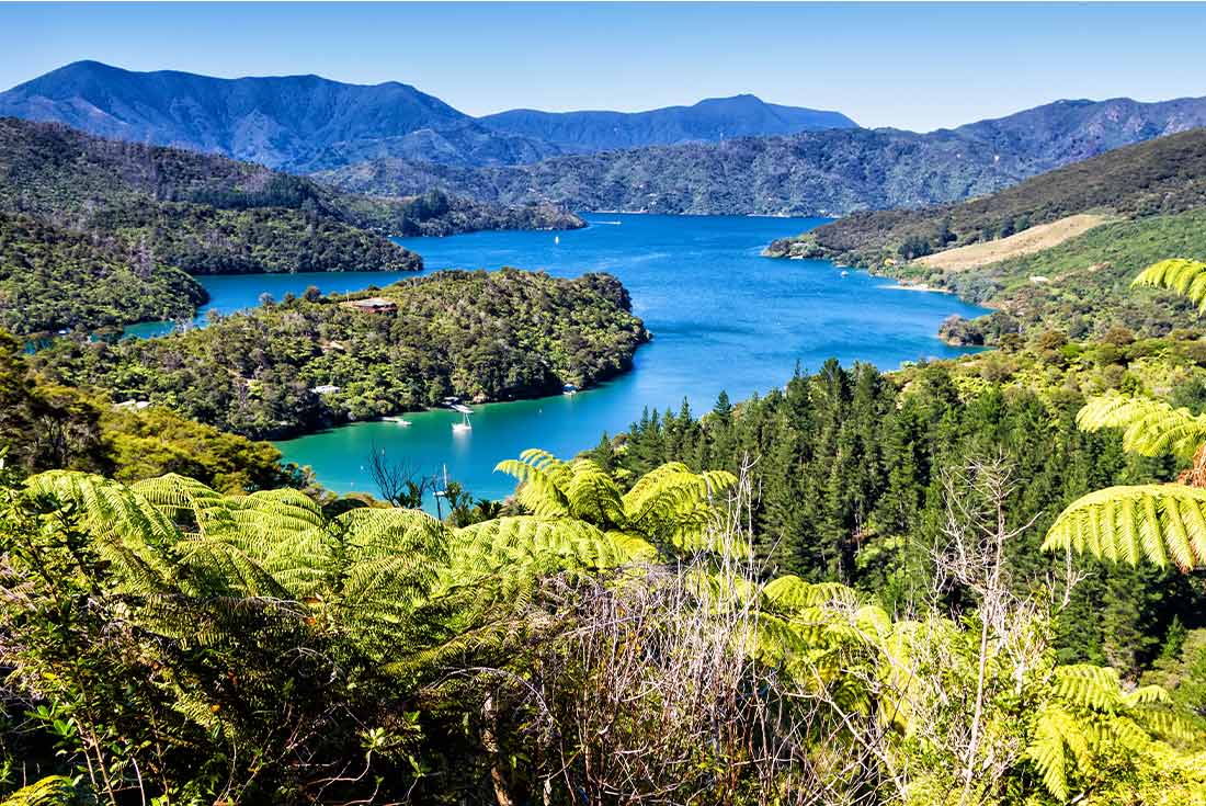 tourhub | Intrepid Travel | Walk New Zealand's Queen Charlotte Track 