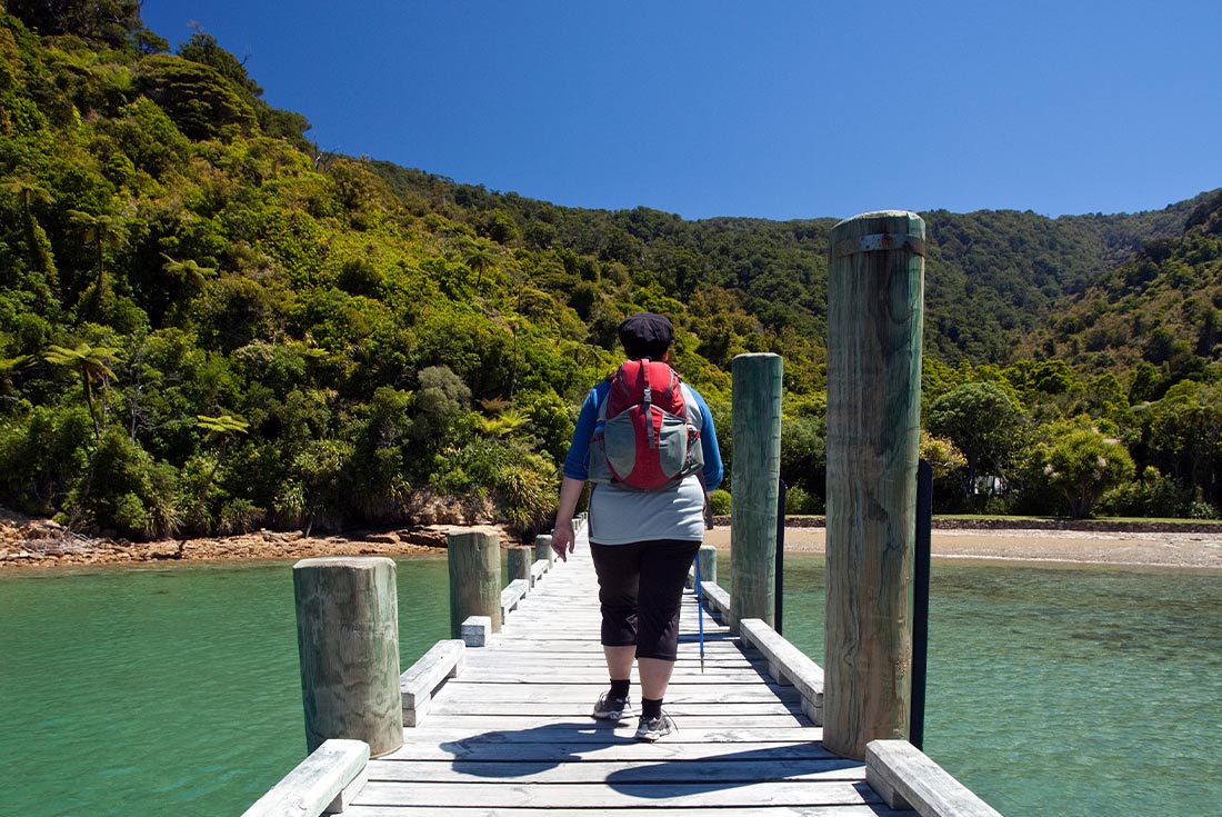 tourhub | Intrepid Travel | Walk New Zealand's Queen Charlotte Track 