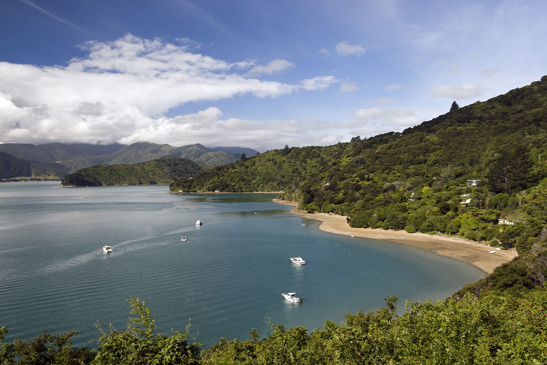 tourhub | Intrepid Travel | Walk New Zealand's Queen Charlotte Track 