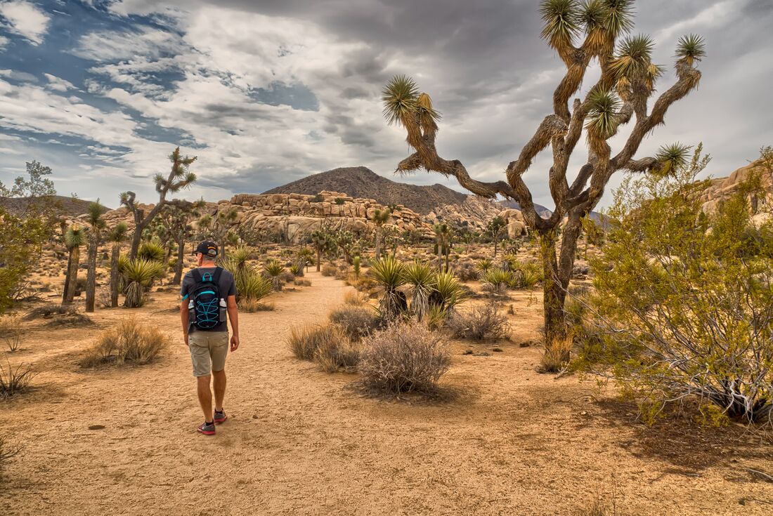 Wild Western USA