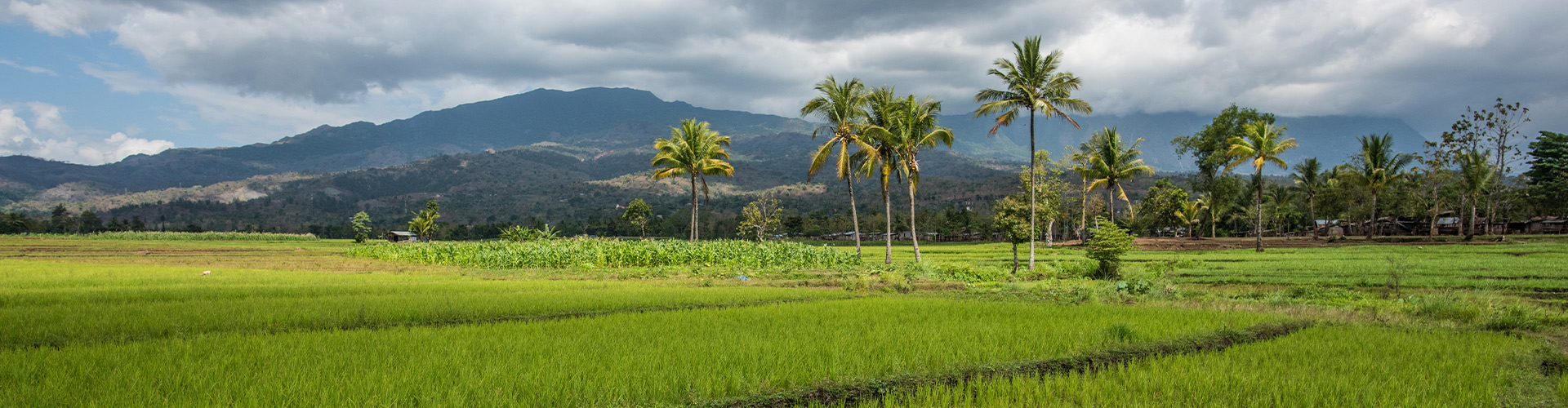 tourhub | Intrepid Travel | Timor-Leste Expedition 