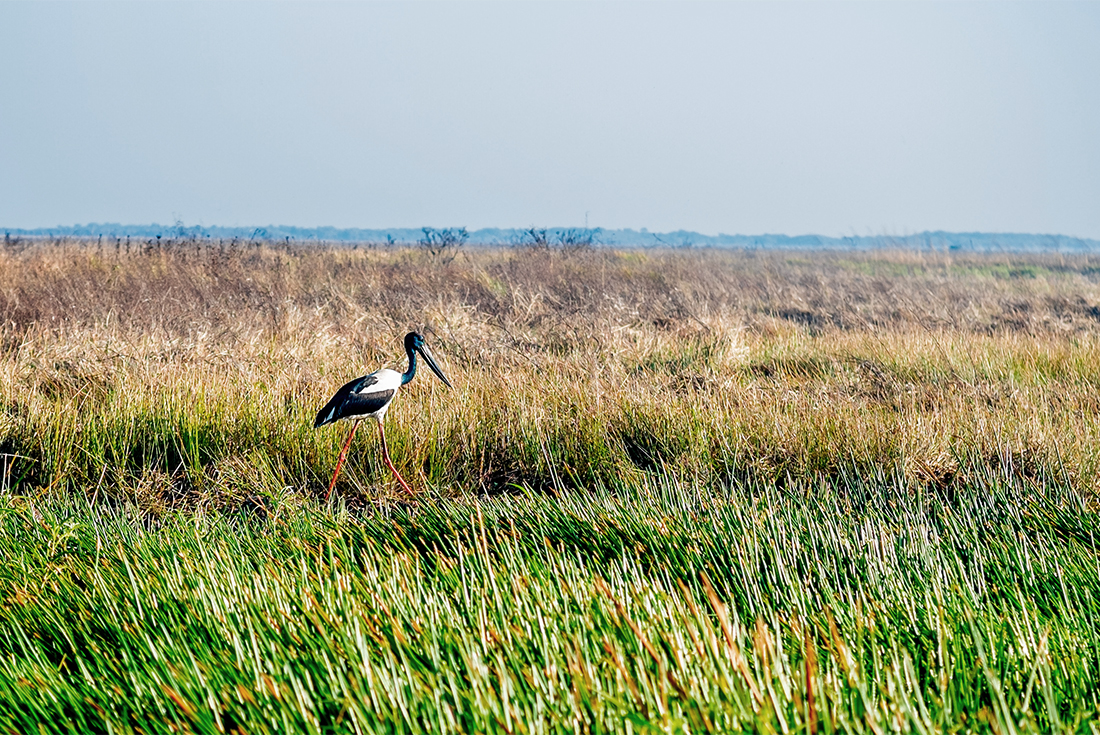 Best of the Top End & Kakadu