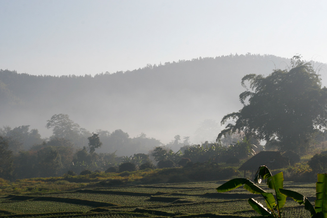 tourhub | Intrepid Travel | Premium Northern Thailand 